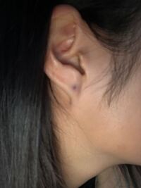 ファーストピアスを一瞬だけ外しても大丈夫でしょうか 高 Yahoo 知恵袋