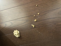 犬の吐き戻しについて相談です 夜18時にいつものフードを食べました いつ Yahoo 知恵袋
