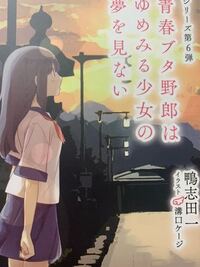 青ブタ青春ブタ野郎のアニメ 映画について長文です 原作は未読です 翔子は Yahoo 知恵袋