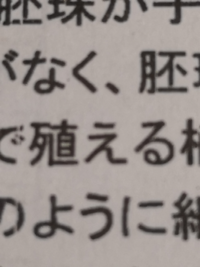 この真ん中の漢字はなんというんだっけ 殖えるふえる Yahoo 知恵袋