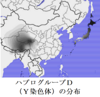 Yap Y染色体ハプログループ 遺伝子を持つ民族は日本人とユダ Yahoo 知恵袋