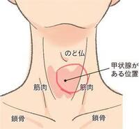 喉の下の辺りが痛いです 赤い で囲んである部分がすごく痛くて唾を飲み Yahoo 知恵袋