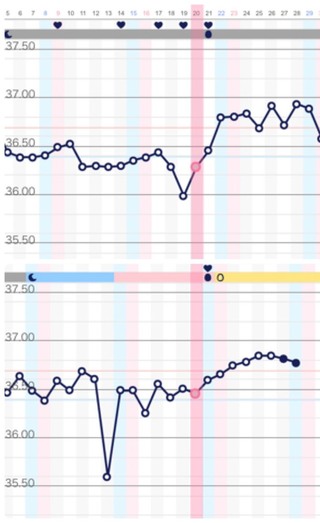人工授精後の基礎体温について 上のグラフが妊娠しなかった時で下のグラ Yahoo 知恵袋