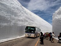 魚へんに養うと書いて何と読みますか 地方によって少し違うようです Yahoo 知恵袋