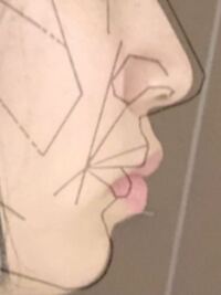 顔の黄金比 ほぼぴったりなんですけどこれはみんなもほとんどぴったりになります Yahoo 知恵袋