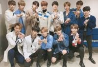Seventeenのメンバーで韓国の人気順教えてほしいです 詳しくは分 Yahoo 知恵袋