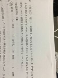 1歳１ヶ月の子供です 植木鉢の下にたまっている水を飲んでしまいました 様 Yahoo 知恵袋