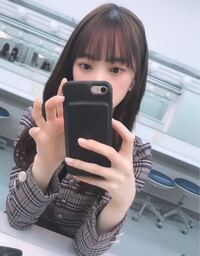 乃木坂46の堀未央奈ちゃんが使ってるスマホケースが知りたいのですがど