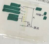 高校生物光合成色素の問題です質問ですカロテンとキサントフィルとクロロ Yahoo 知恵袋