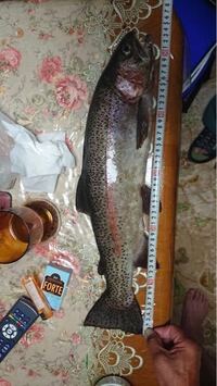 この個体は放流されたニジマスですか 放流魚の特徴はヒレが小さく Yahoo 知恵袋