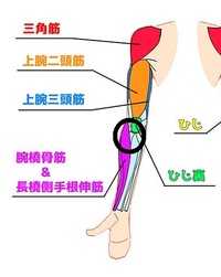 肘裏と外側が痛いです なぜでしょうか 普通にしていると痛くはな Yahoo 知恵袋