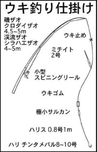 ブラックバスのウキ釣りの仕掛けって これでも大丈夫 これでも大丈夫ですが Yahoo 知恵袋