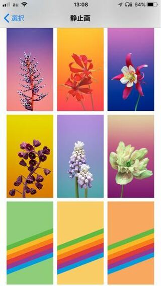 これらの花の名前をそれぞれ教えて下さい Iphoneにあるデフ Yahoo 知恵袋