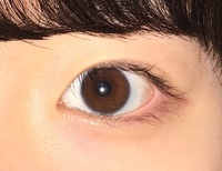 この目の色ってなんですか わかりづらいですが緑がかった茶色です Yahoo 知恵袋