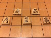 将棋の駒がでてきたのですが 材質 本黄楊 シャム黄楊等 の見分け方を Yahoo 知恵袋