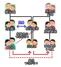 近親者同士の性交渉で妊娠して産まれてきた子供はやはり血が濃いと奇 Yahoo 知恵袋