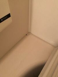 家 戸建 の浴槽のふちが気づいたら少しずれていました いつからずれたのか全然わか 教えて 住まいの先生 Yahoo 不動産