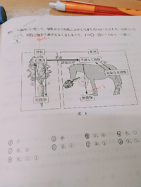 生物基礎です このjが異化なのは 有機物 無機物だからなのでし Yahoo 知恵袋