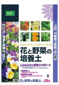 ひまわりが育たないです 6月末に保育園で育てていたヒマワリの苗をもら Yahoo 知恵袋