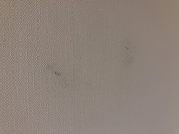 先日 タコの墨が服に付着してしまいました ワイドハイターに浸して洗ったりもし Yahoo 知恵袋