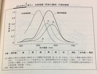 光受容器 杆体と錐体 の相対感度について教えてください現在 趣味で認知心理学の Yahoo 知恵袋