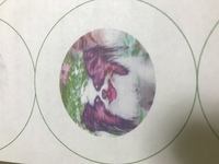 布プリについて知りたく思っております 手芸で 布プリで自分で布をプリント Yahoo 知恵袋