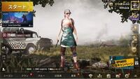 Pubgモバイルで最近warmodeでもドン勝だったらドン勝メダル貰えるよ Yahoo 知恵袋