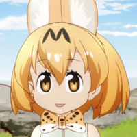 なぜけものフレンズのアライさんは3000円と呼ばれたりするん Yahoo 知恵袋