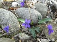 日本で一番大きい県と小さい県を教えて下さい 無知な質問ですみません Yahoo 知恵袋