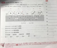 カッコイイ漢字にしてください 炎 水 雷 を連想させるカッ Yahoo 知恵袋