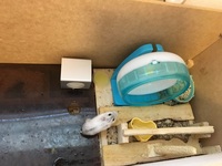 ハムスターの小屋に無数の小さいダニ ノミ みたいな白い虫がたーーーー Yahoo 知恵袋