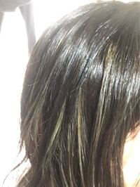 一昨日にアッシュグレー ハイライト白でブリーチ一回 カラー二回してもらったので Yahoo 知恵袋