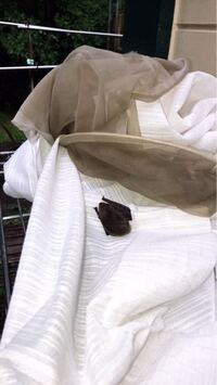 日本の ウサギコウモリ は世界の蝙蝠の種の中で一番小さいのですか Yahoo 知恵袋