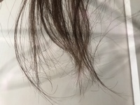 この痛みまくって毛先が折れまくって絡まりまくる髪の毛 どうしたらい Yahoo 知恵袋
