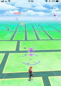 ナマケロがたまごからでもみがわりを覚えない この前 Yahoo 知恵袋