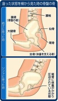 体育座りの時 画像の 坐骨 が傷んで耐えられません 姿勢良く座っても 坐 Yahoo 知恵袋