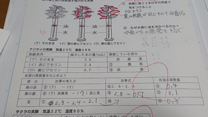 中１の理科の問題で蒸散量を計算する問題ですが まだ 葉の表と裏の Yahoo 知恵袋