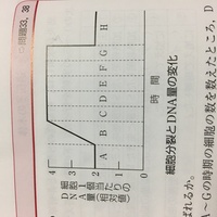 生物基礎の問題 急いでます 生物基礎のワークを解いていてわからない問題があり Yahoo 知恵袋