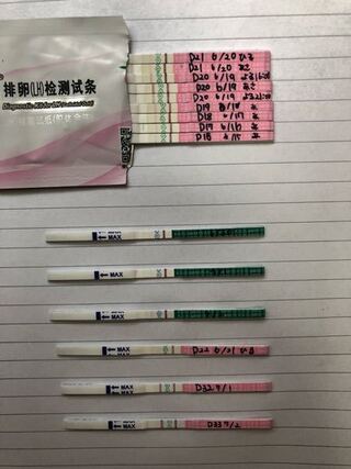 妊娠検査薬 高温期10日目