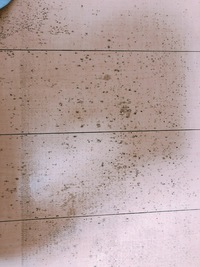 ラグの滑り止の跡がフローリングについてしまいました この場合退去時にかか Yahoo 知恵袋