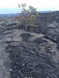 溶岩台地はどのようなときにできますか 玄武岩質のような粘度の低い溶岩 Yahoo 知恵袋