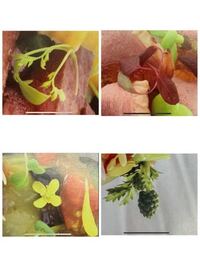 英語 料理 長