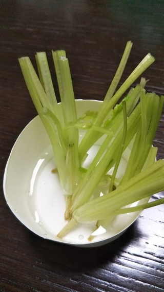 パクチーの茎 根 を水につけていたら根っこが出てくるでしょうか 土に植えてみた Yahoo 知恵袋