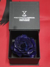 紫の薔薇の花言葉を教えて下さい あと 青い薔薇 紫の薔薇ですか Yahoo 知恵袋