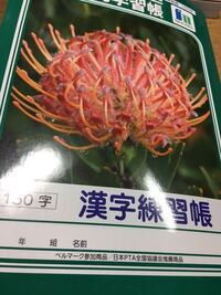 赤ちゃんの名前を ここね と 名付けたいのですが漢字で悩んでいます 希 Yahoo 知恵袋