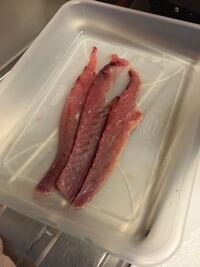 自分で釣ったスズキを刺身で食べて食あたりをおこしたようで 家族全員が嘔吐と Yahoo 知恵袋