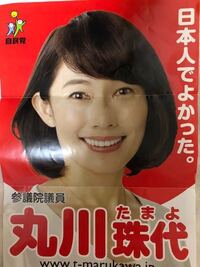 帰宅して嫁が丸川珠代と小川彩佳だったらどっちがいいですか 私はどっち Yahoo 知恵袋