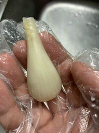 らっきょうの保存方法について質問です この間らっきょうを Yahoo 知恵袋