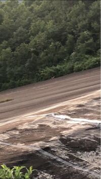 変わった名前の動物や 名前の長い動物をできるだけ多く教えてく Yahoo 知恵袋