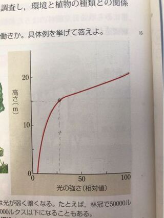 生物のバイオームの分野です 下の図は階層構造における光の相対値と高さを表してい Yahoo 知恵袋